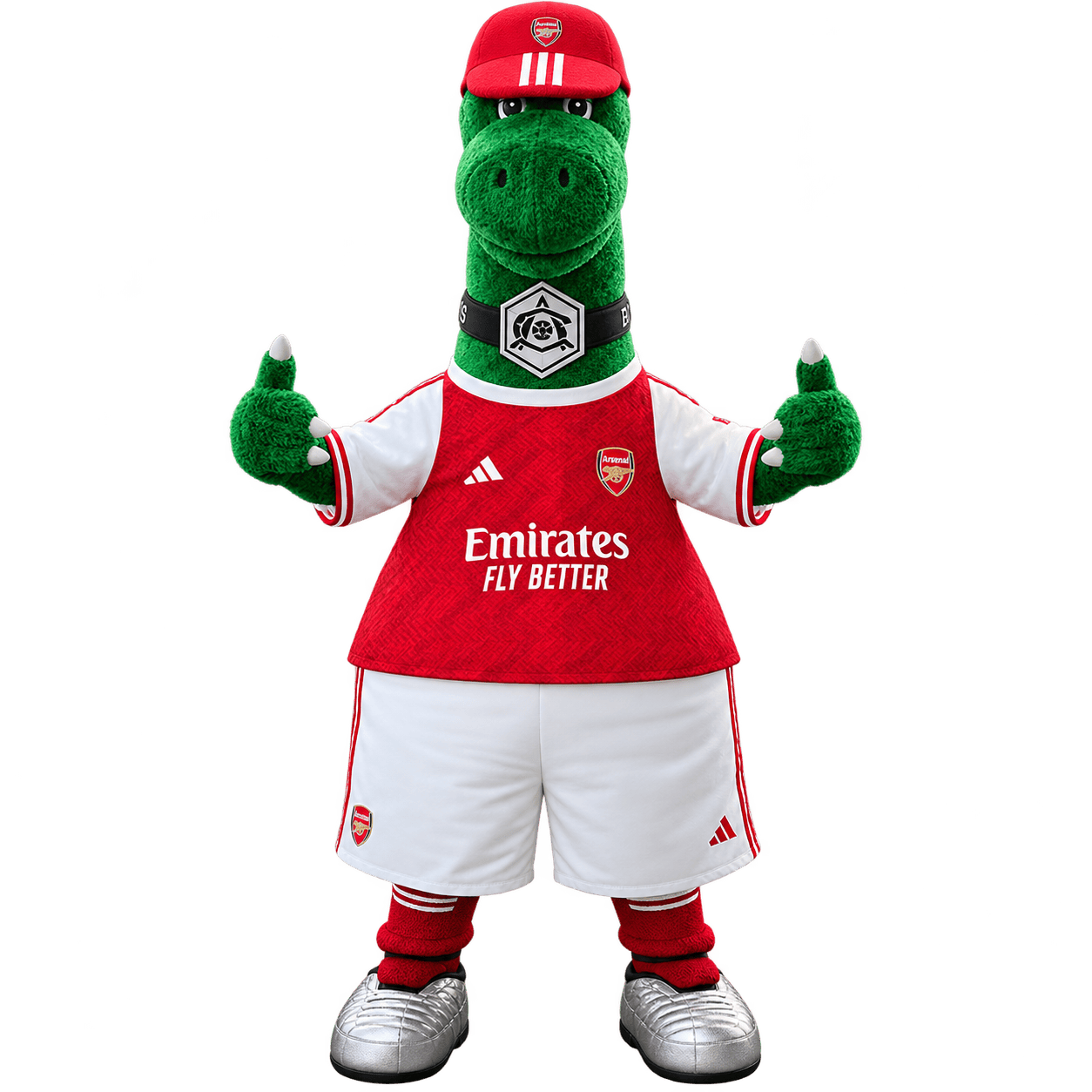 Arsenal supporter in club clothing seated in a wheelchair